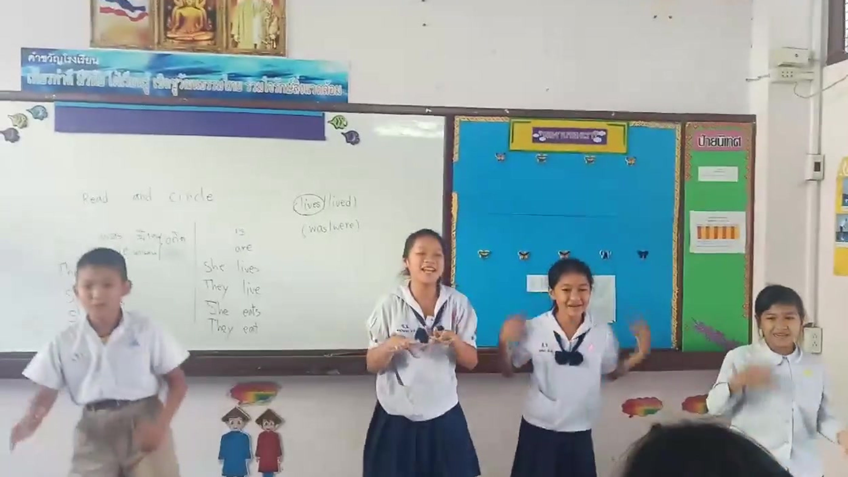 All Videos